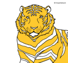 Dibujo Tigre pintado por wilson