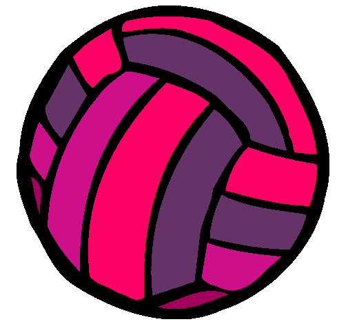 Pelota de voleibol