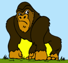 Dibujo Gorila pintado por yogy