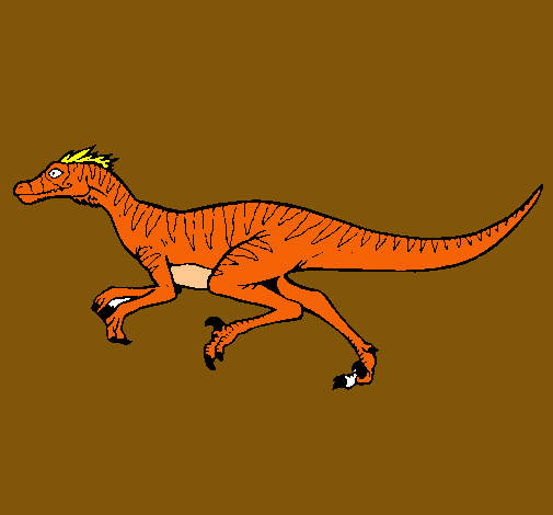 Velociraptor