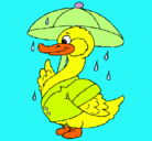 Dibujo Pato bajo la lluvia pintado por aniuxi