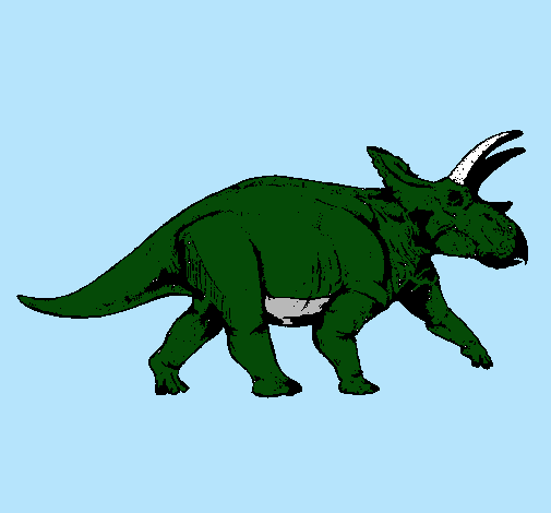 Triceratops