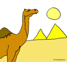 Dibujo Camello pintado por GUILLERMINA