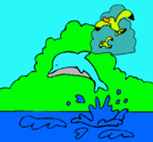 Dibujo Delfín y gaviota pintado por isaias