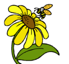 Dibujo Margarita con abeja pintado por claudiavgn