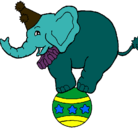 Dibujo Elefante encima de una pelota pintado por cvbvnvb