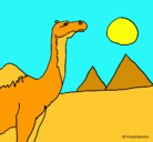 Dibujo Camello pintado por acrollam