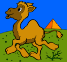 Dibujo Camello pintado por alejiya