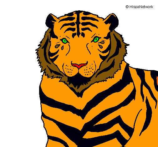 Dibujo Tigre pintado por karla550