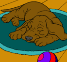 Dibujo Perro durmiendo pintado por -mimi-