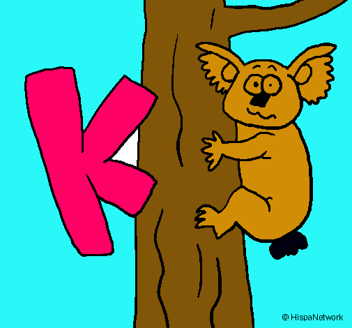 Koala