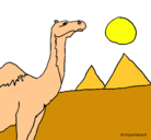 Dibujo Camello pintado por nehisdermary