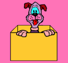 Dibujo Perro dentro de caja pintado por COLOMBA