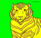 Dibujo Tigre pintado por gysse