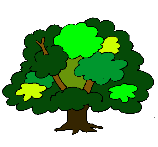 Árbol