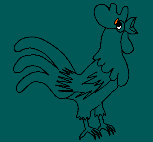 Gallo