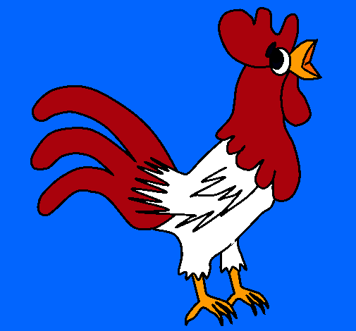 Gallo