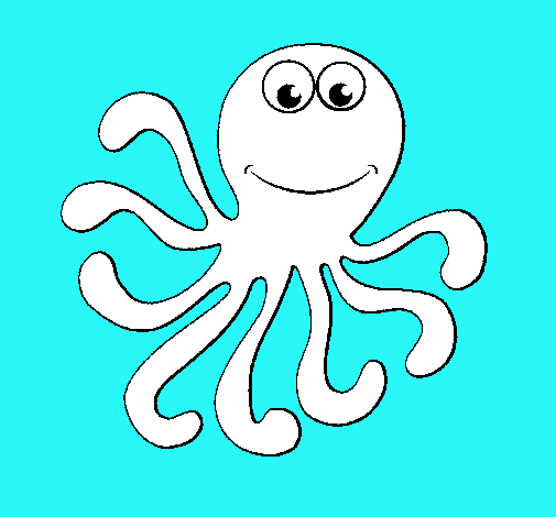 Pulpo 2