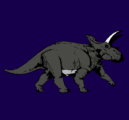 Triceratops