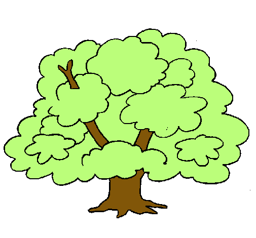 Árbol