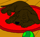 Dibujo Perro durmiendo pintado por Miguel2001