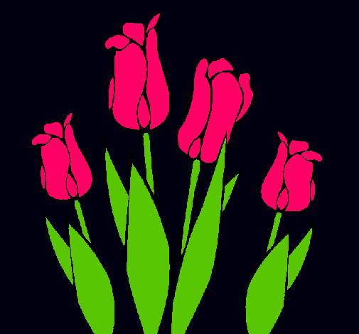 Tulipanes