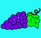 Dibujo racimo pintado por uvas