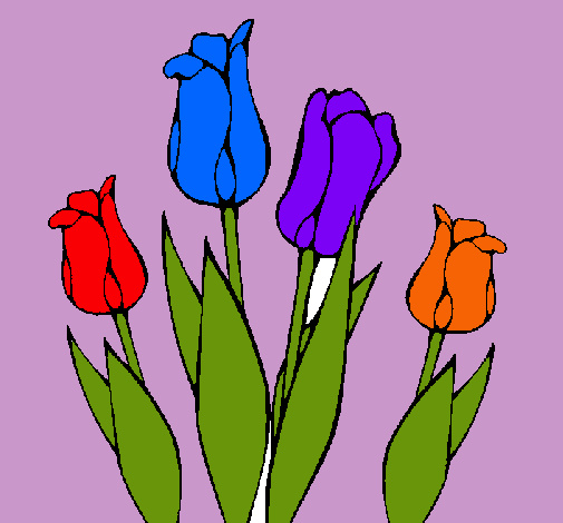 Tulipanes