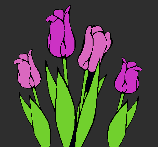 Tulipanes