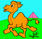 Dibujo Camello pintado por biancanico