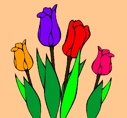 Tulipanes