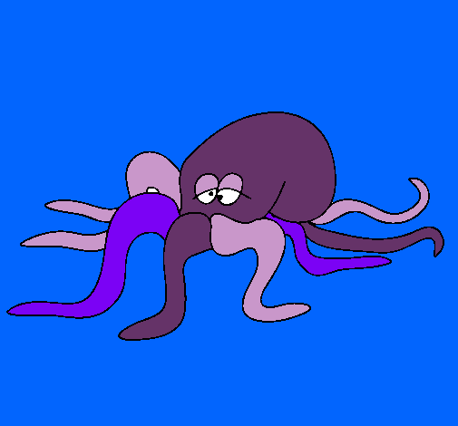 Pulpo