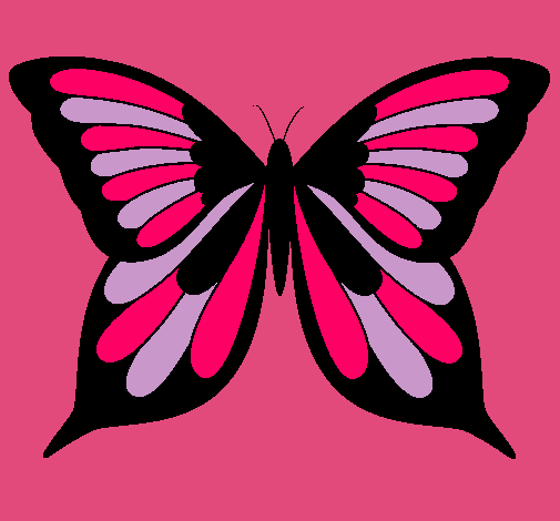 Mariposa