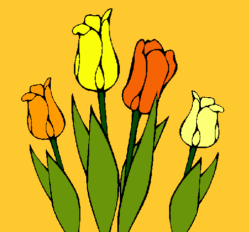 Tulipanes