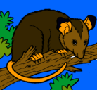 Dibujo Ardilla possum pintado por lenis