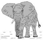 Dibujo Elefante pintado por yayis