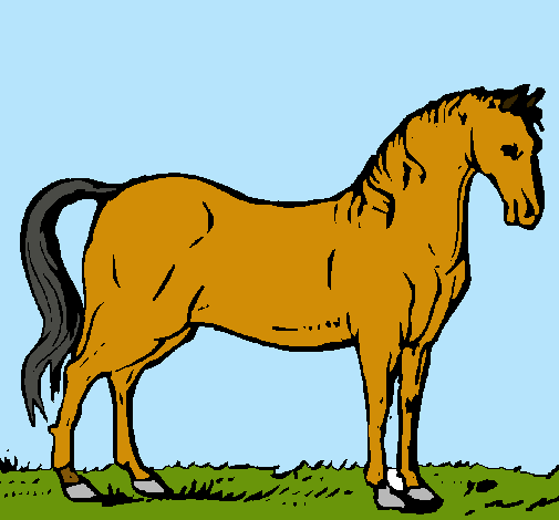 Caballo andaluz