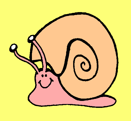 Caracol 