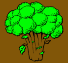 Dibujo Brócoli pintado por pap1