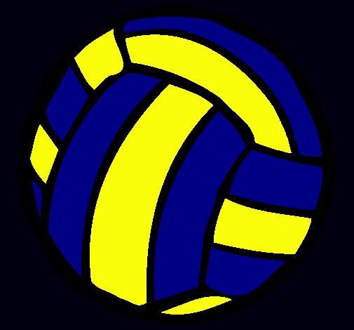 Pelota de voleibol