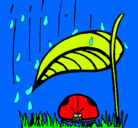 Dibujo Mariquita protegida de la lluvia pintado por marisela0700
