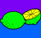 Dibujo limón pintado por kelsey