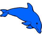 Dibujo Delfín contento pintado por prisandnoe