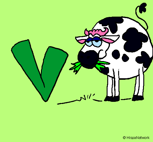 Vaca