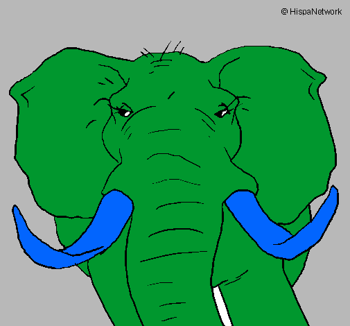 Elefante africano