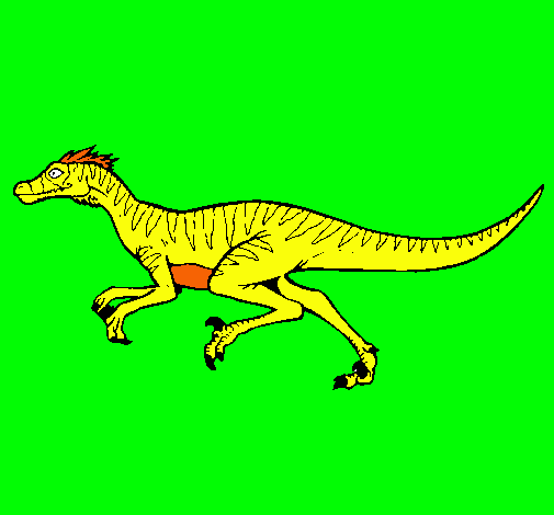 Velociraptor