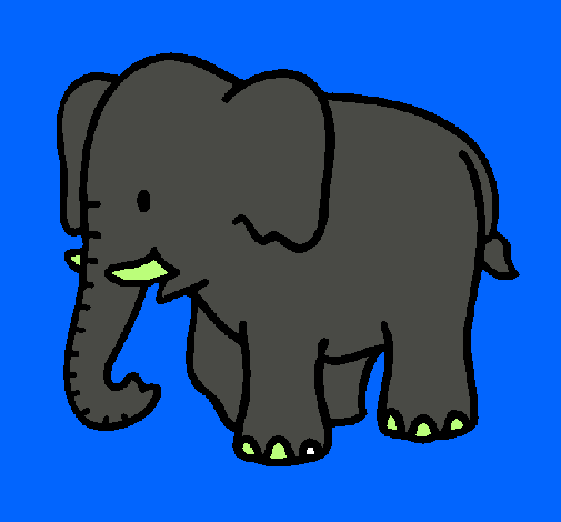 Elefante bebe