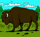 Dibujo Búfalo  pintado por omarcitoop