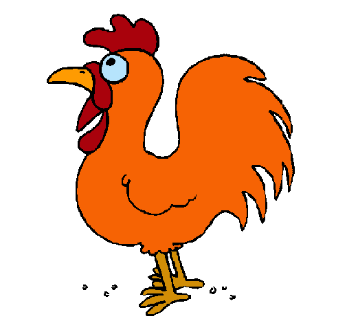 Gallo de granja