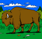 Dibujo Búfalo  pintado por tapun